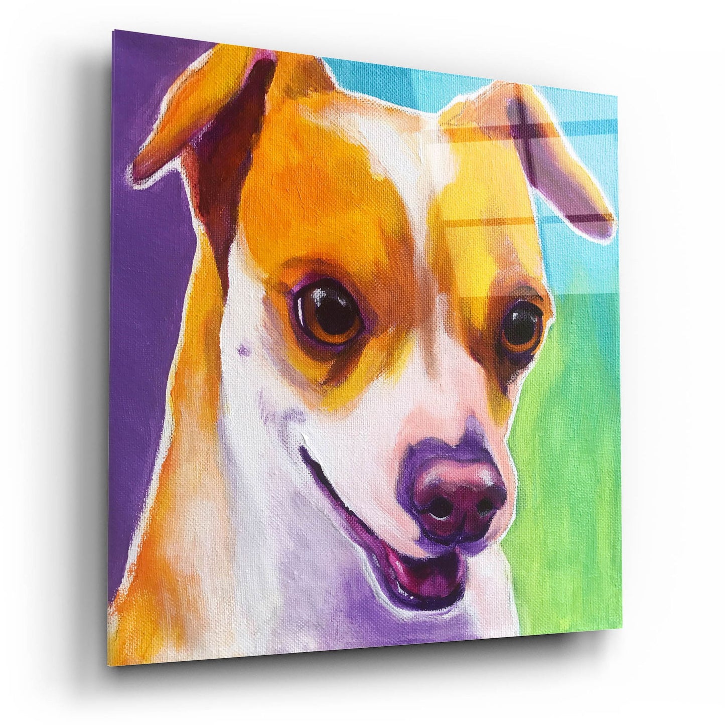 Epic Art 'Chihuahua - Duncan2 by Dawg Painter, Acrylic Glass Wall Art,12x12