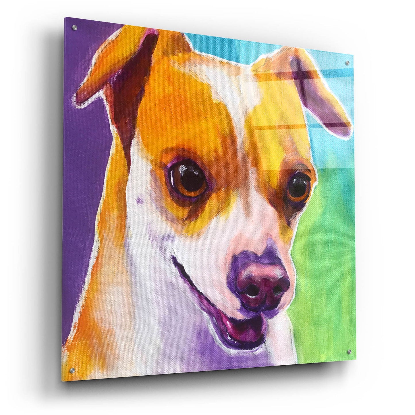 Epic Art 'Chihuahua - Duncan2 by Dawg Painter, Acrylic Glass Wall Art,36x36