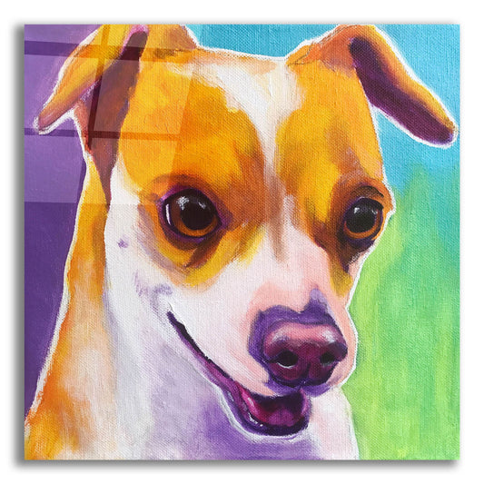 Epic Art 'Chihuahua - Duncan2 by Dawg Painter, Acrylic Glass Wall Art