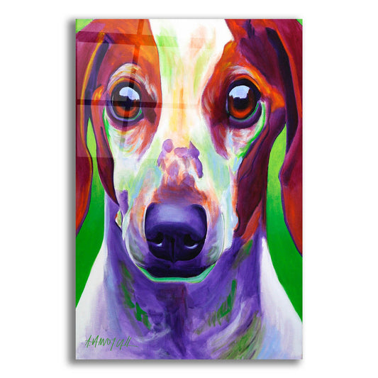 Epic Art 'Dachshund - Cooper 2 by Dawg Painter, Acrylic Glass Wall Art