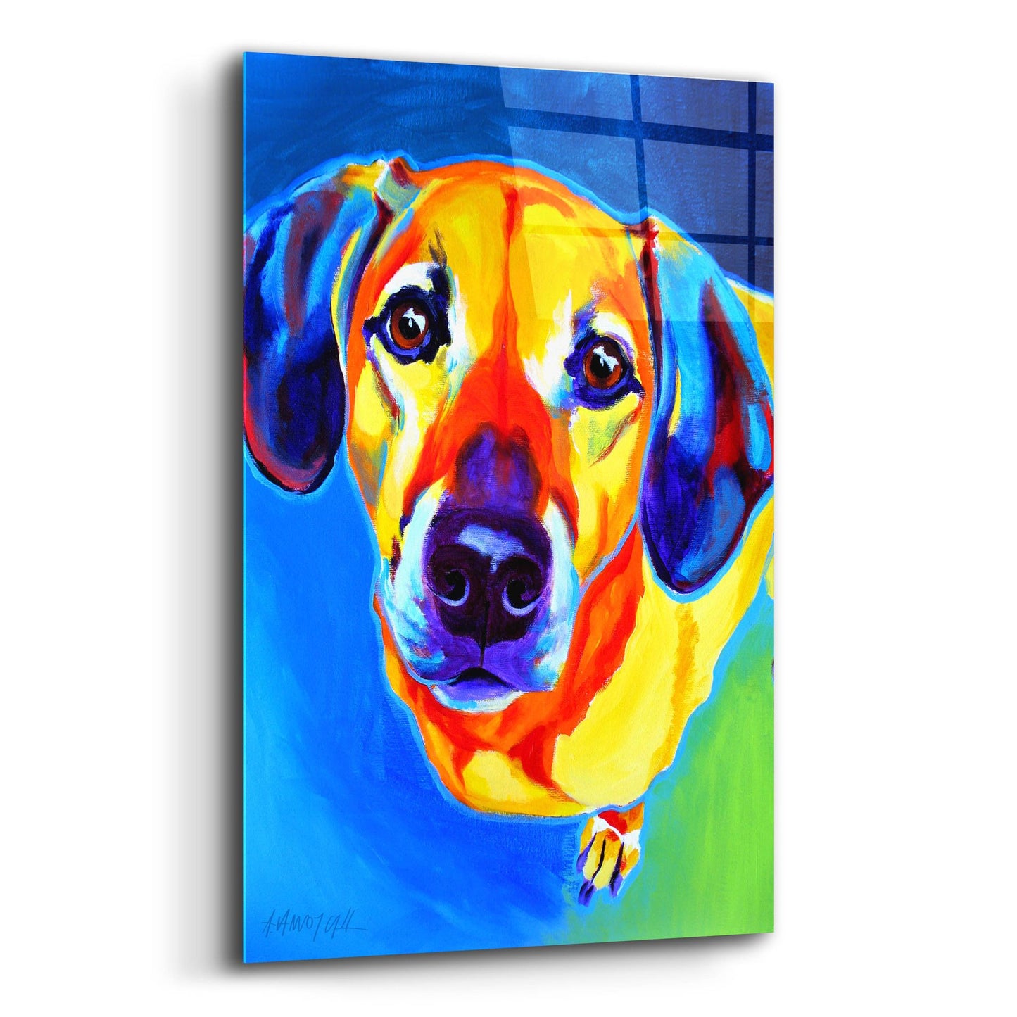 Epic Art 'Dachshund - Maisie2 by Dawg Painter, Acrylic Glass Wall Art,12x16