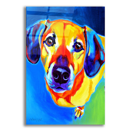 Epic Art 'Dachshund - Maisie2 by Dawg Painter, Acrylic Glass Wall Art