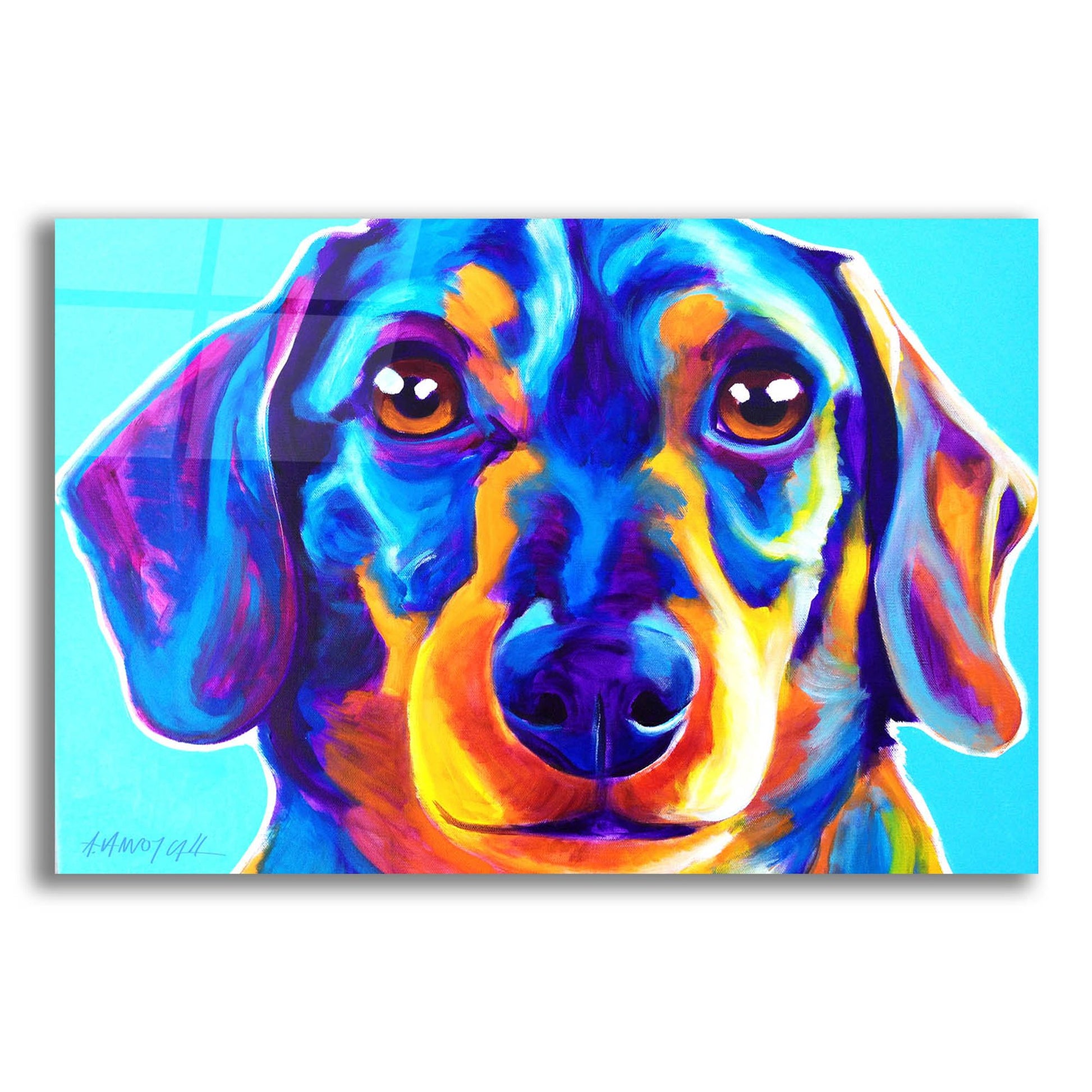 Epic Art 'Dachshund - Oscar2 by Dawg Painter, Acrylic Glass Wall Art,24x16