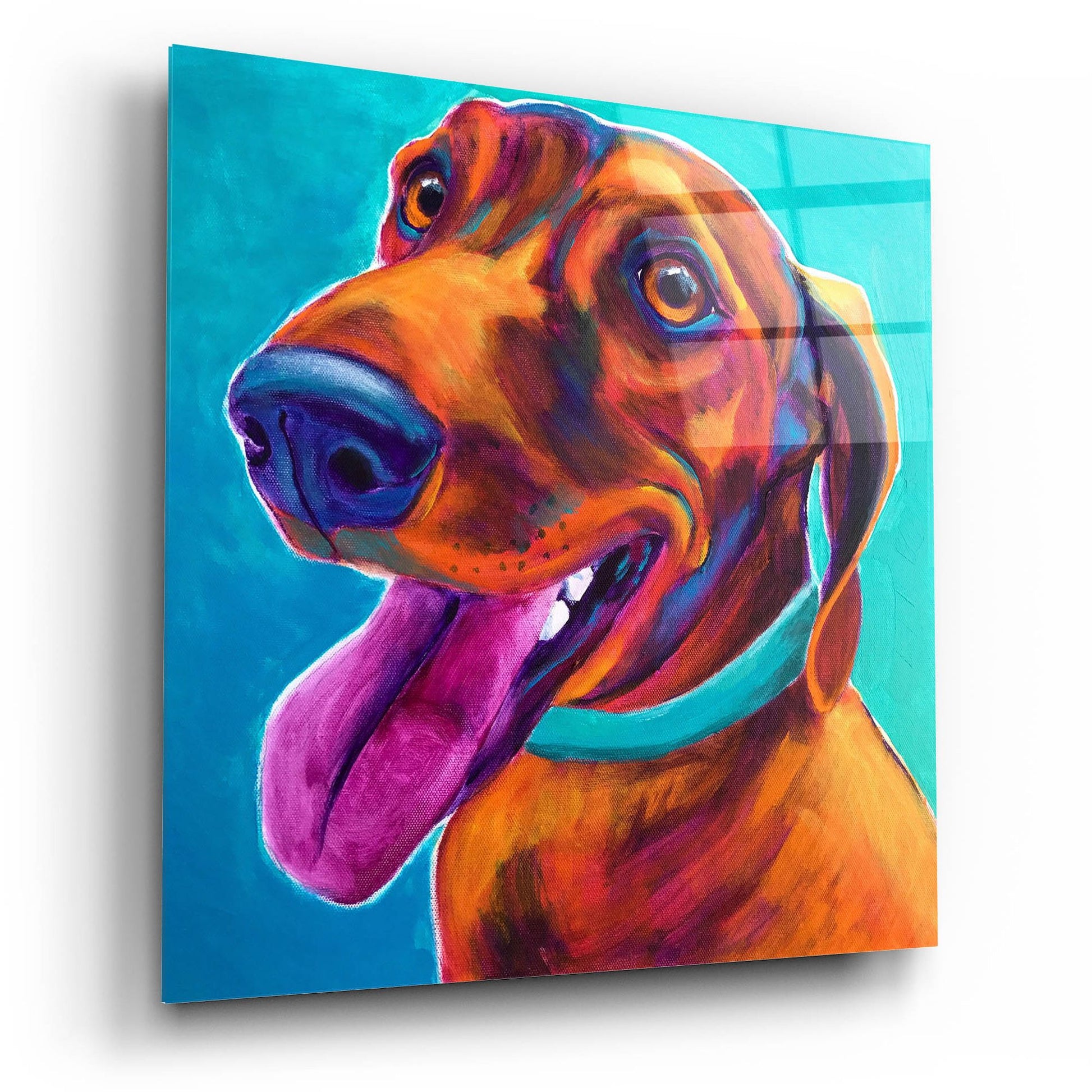 Epic Art 'Dachshund - Turquoise2 by Dawg Painter, Acrylic Glass Wall Art,12x12