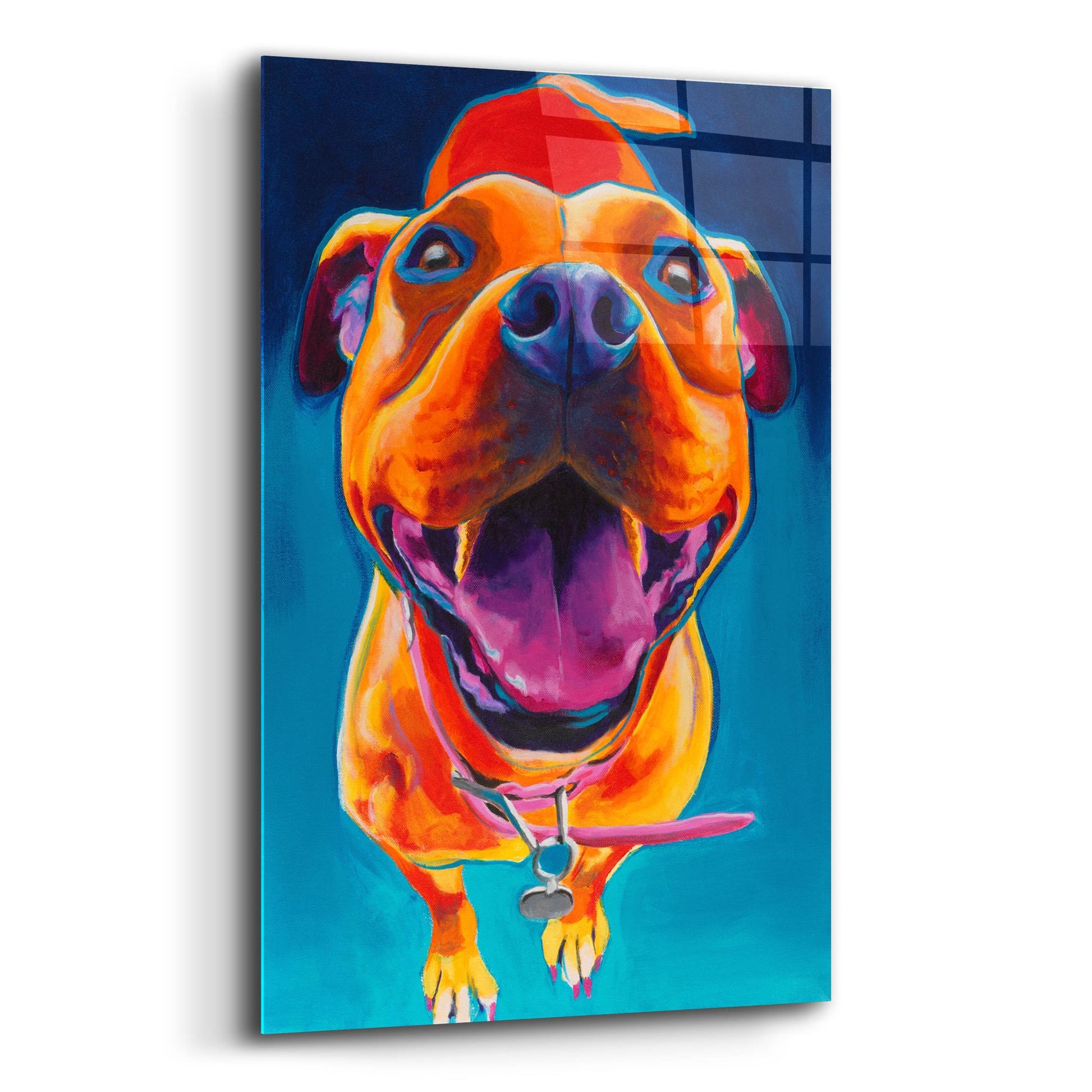 Epic Art 'Happy Go Lucky2 by Dawg Painter, Acrylic Glass Wall Art,12x16