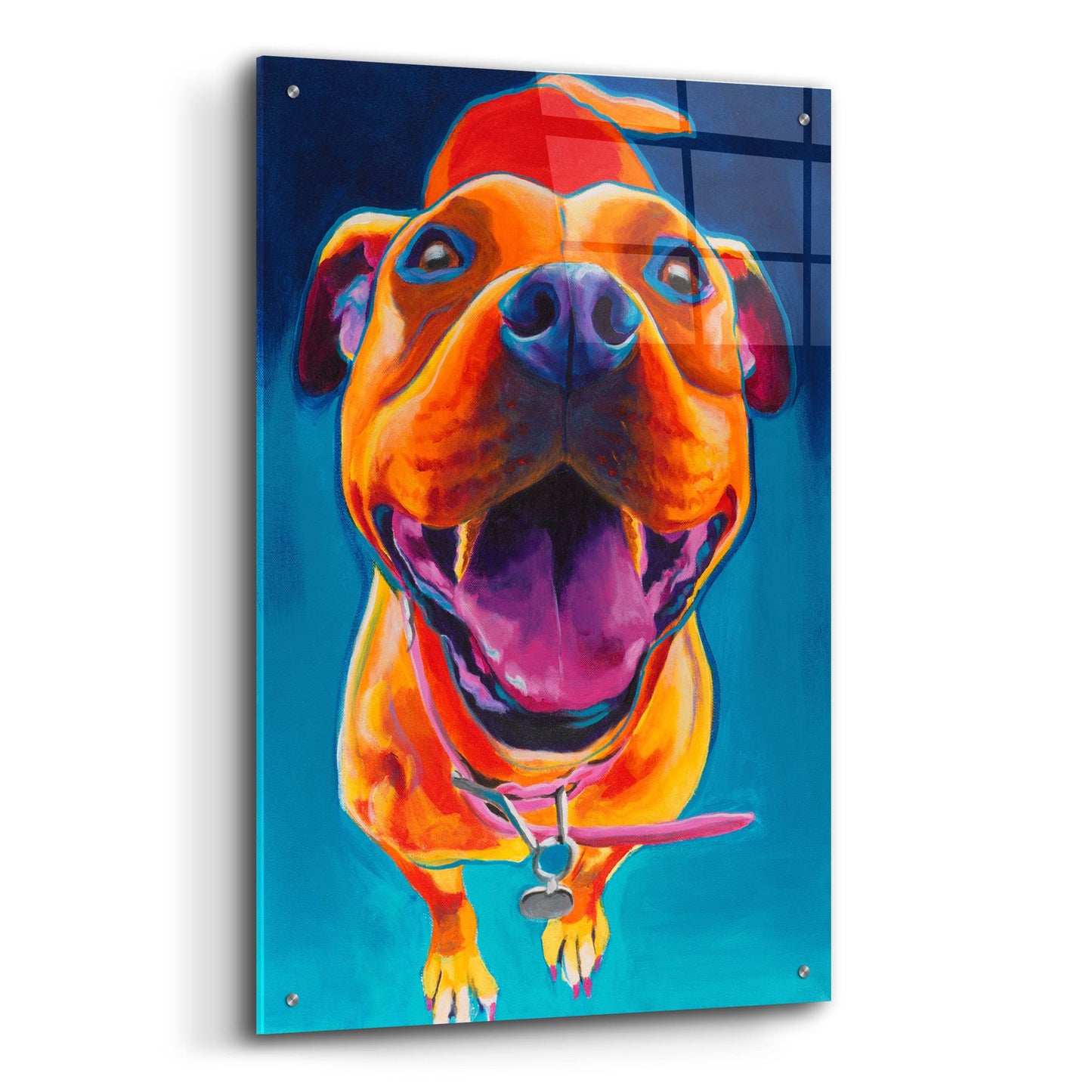 Epic Art 'Happy Go Lucky2 by Dawg Painter, Acrylic Glass Wall Art,24x36