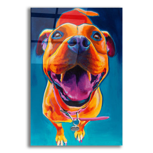 Epic Art 'Happy Go Lucky2 by Dawg Painter, Acrylic Glass Wall Art