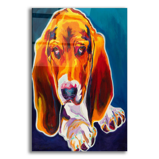 Epic Art 'Hound2 by Dawg Painter, Acrylic Glass Wall Art