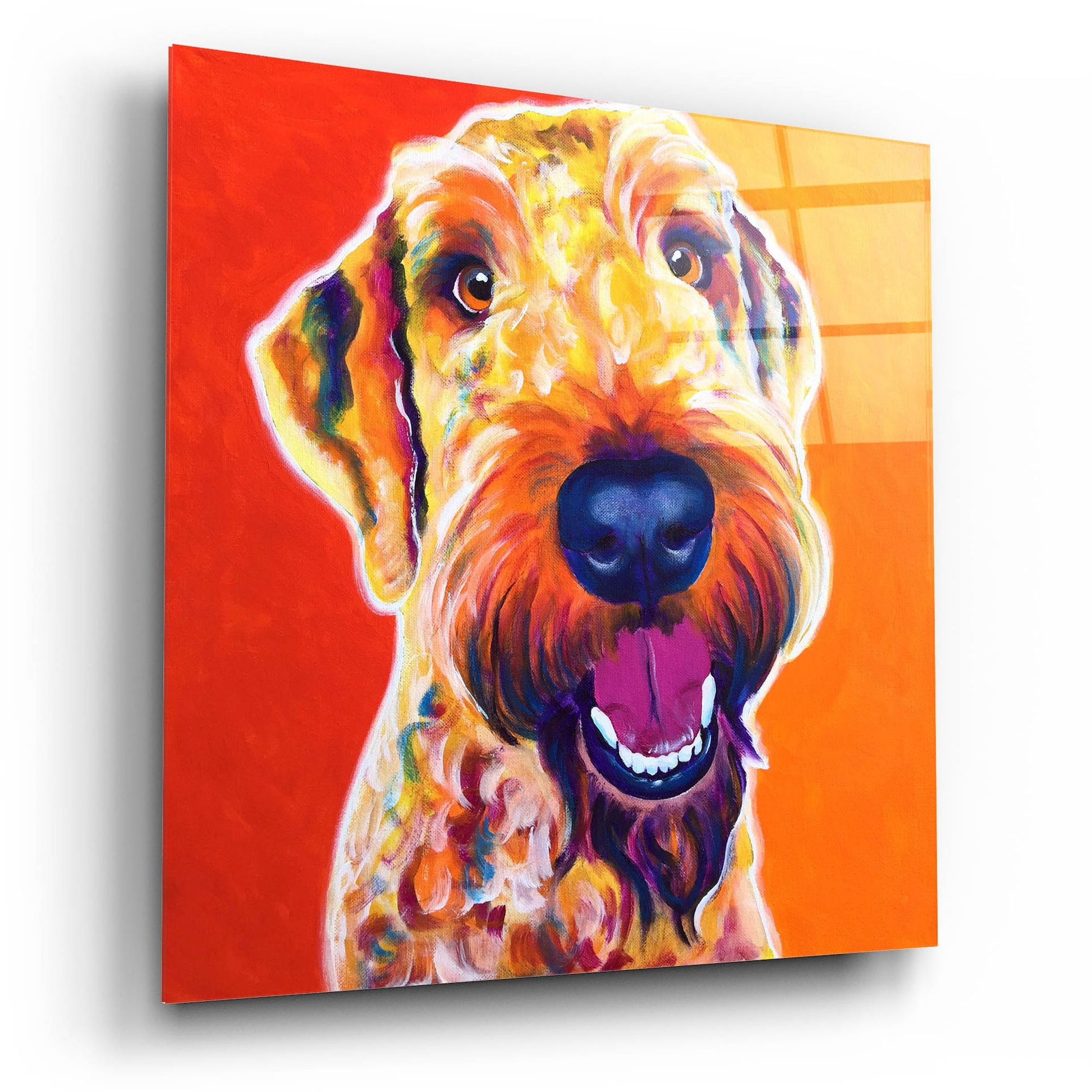 Epic Art 'Airedoodle - Hank2 by Dawg Painter, Acrylic Glass Wall Art,12x12