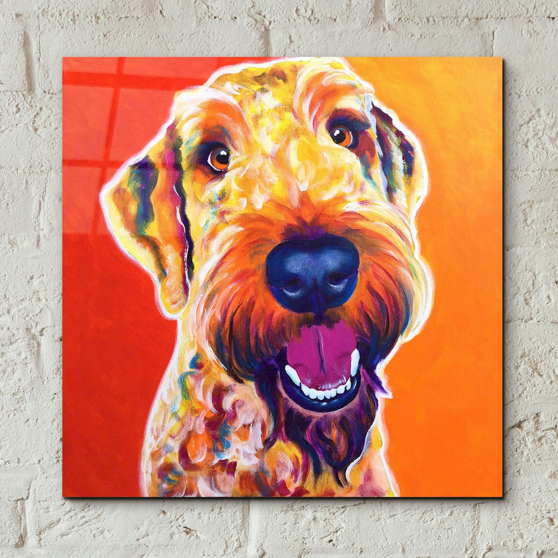 Epic Art 'Airedoodle - Hank2 by Dawg Painter, Acrylic Glass Wall Art,12x12