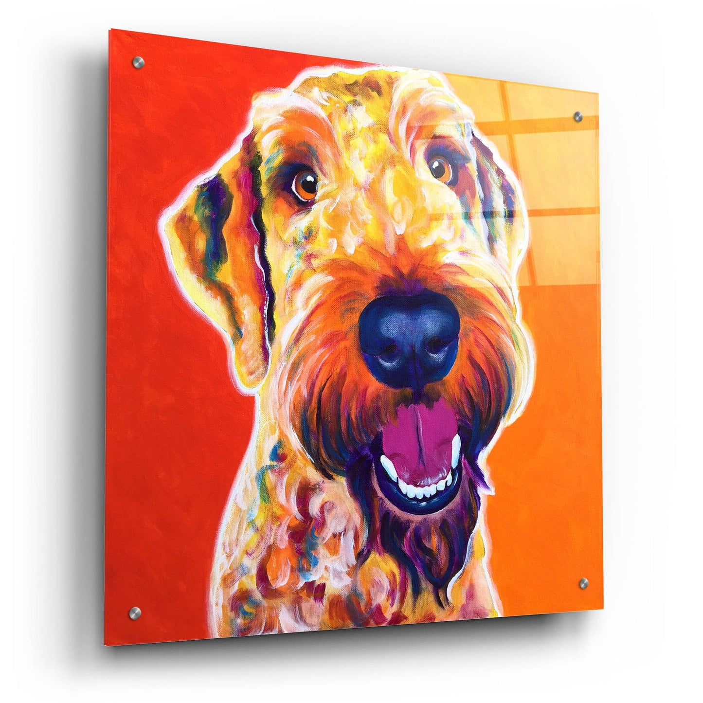 Epic Art 'Airedoodle - Hank2 by Dawg Painter, Acrylic Glass Wall Art,24x24