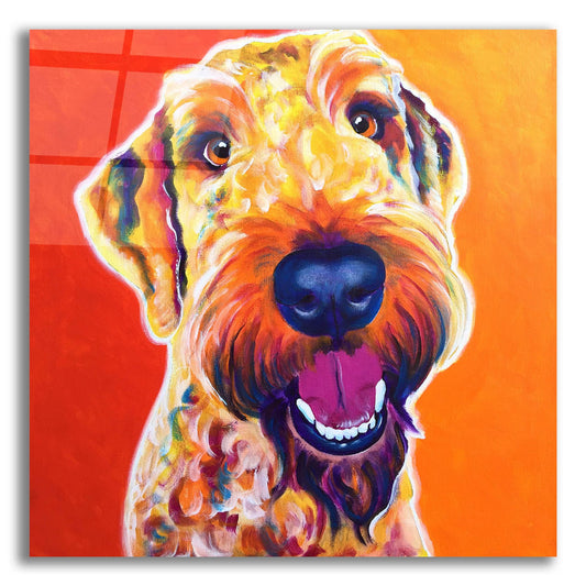 Epic Art 'Airedoodle - Hank2 by Dawg Painter, Acrylic Glass Wall Art