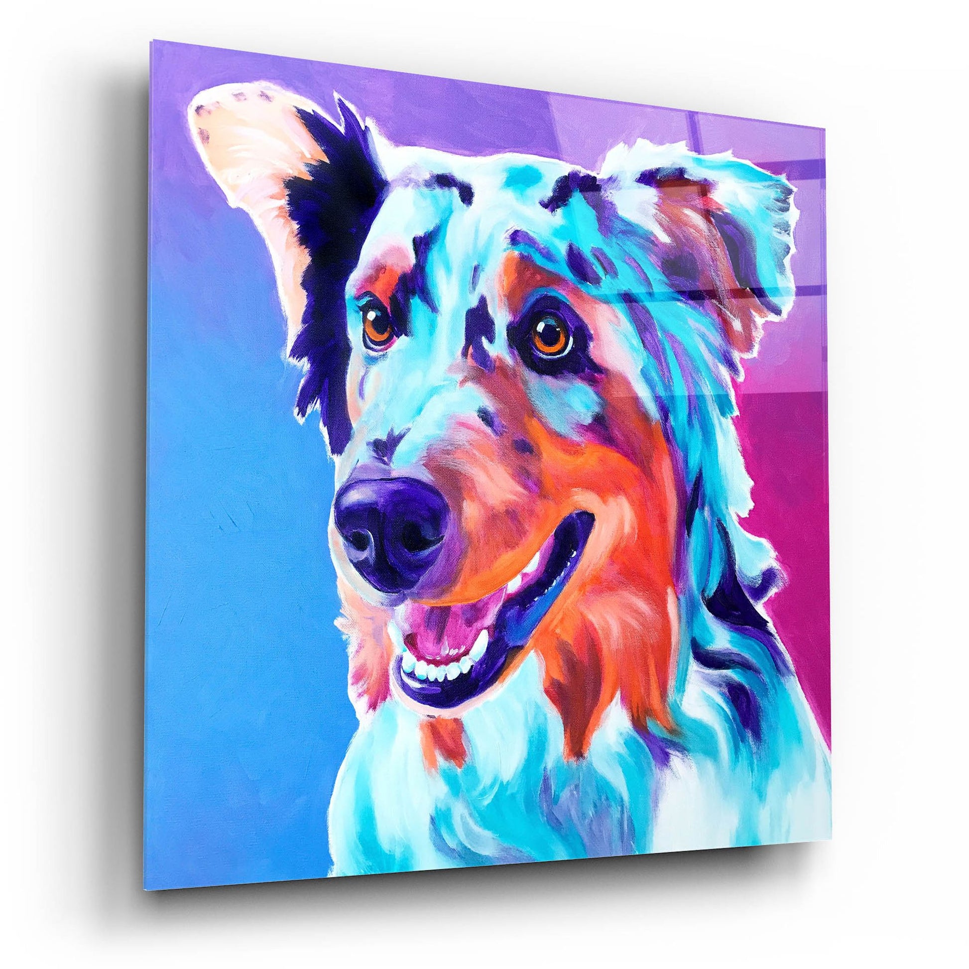 Epic Art 'Aussie - Pepper2 by Dawg Painter, Acrylic Glass Wall Art,12x12