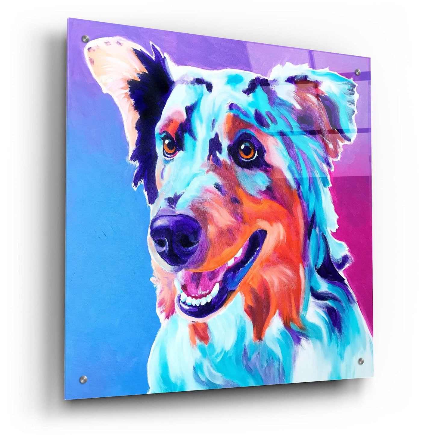 Epic Art 'Aussie - Pepper2 by Dawg Painter, Acrylic Glass Wall Art,24x24