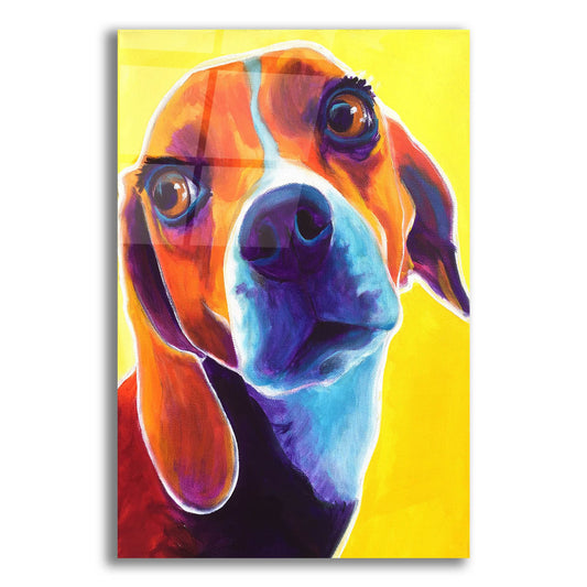 Epic Art 'Beagle - Marcie2 by Dawg Painter, Acrylic Glass Wall Art