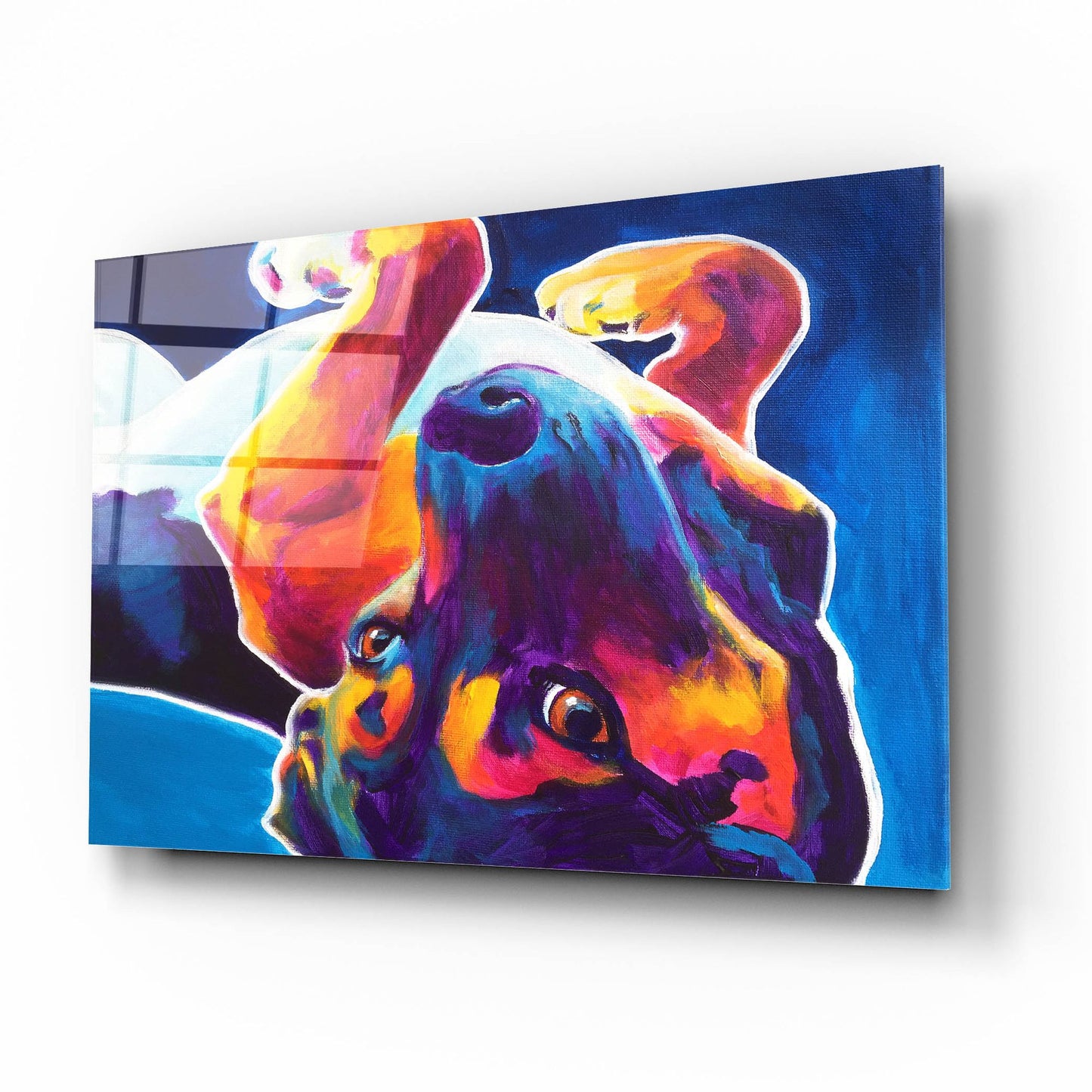Epic Art 'Beagle - Roxy2 by Dawg Painter, Acrylic Glass Wall Art,16x12