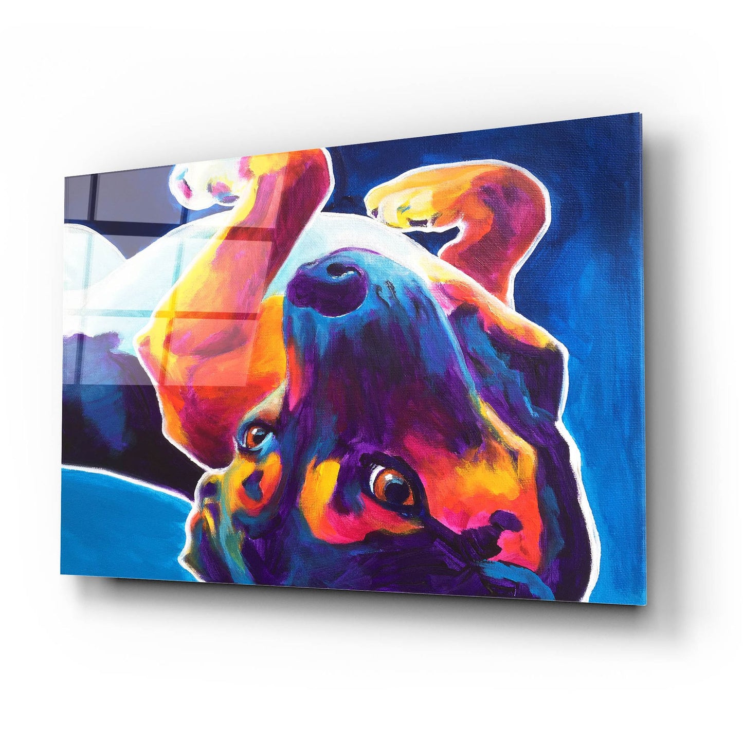 Epic Art 'Beagle - Roxy2 by Dawg Painter, Acrylic Glass Wall Art,24x16