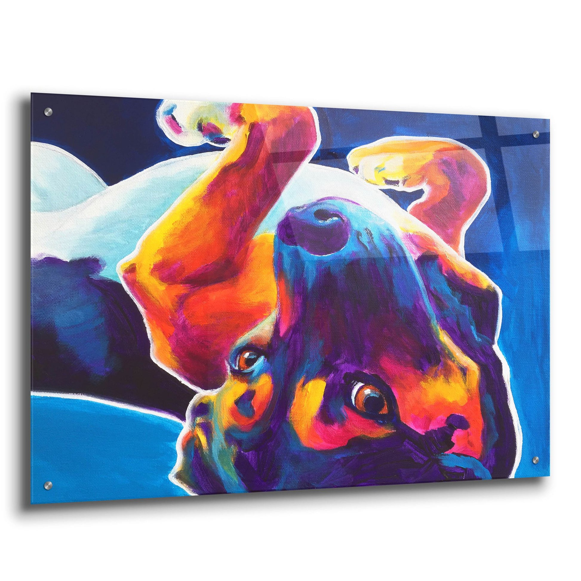 Epic Art 'Beagle - Roxy2 by Dawg Painter, Acrylic Glass Wall Art,36x24