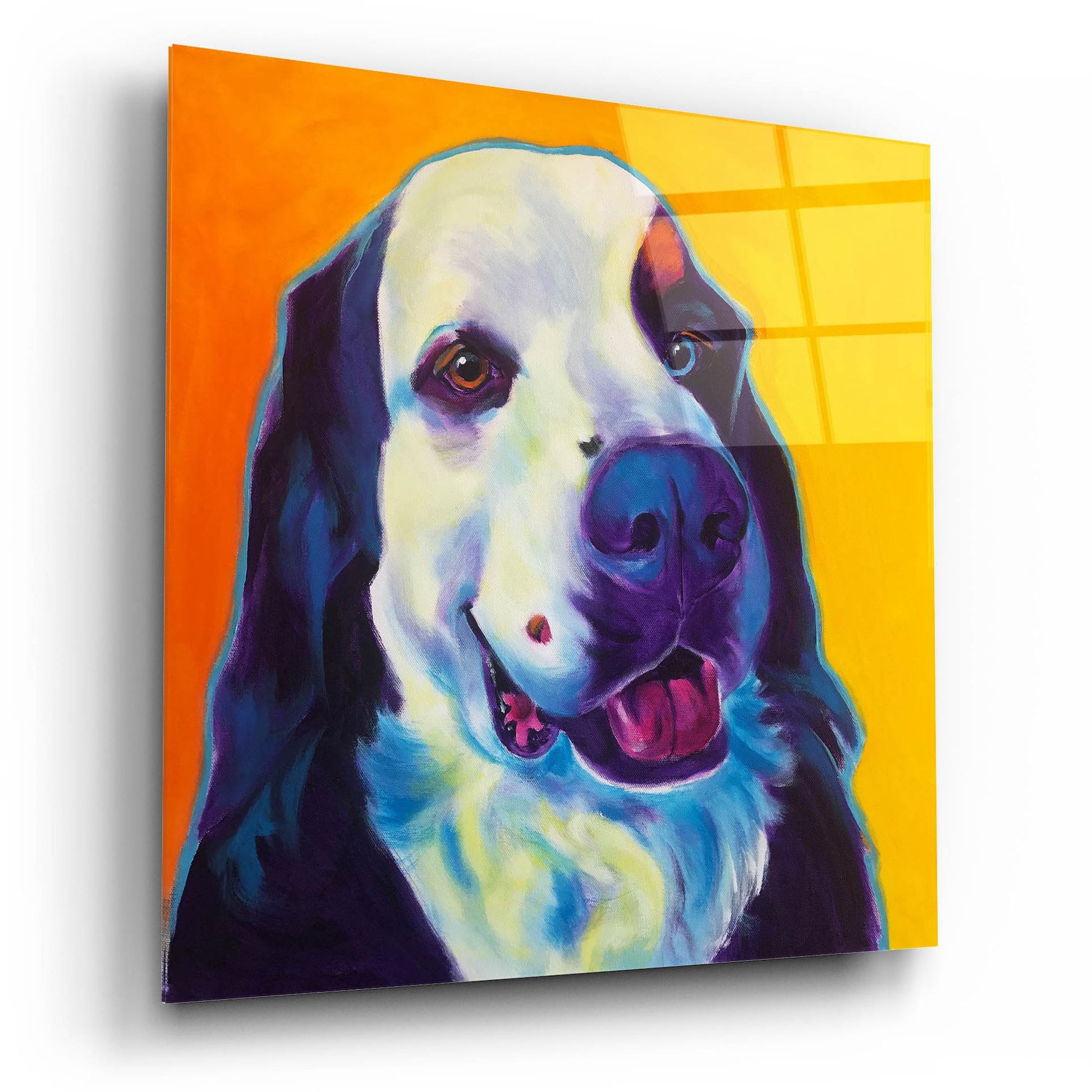 Epic Art 'Bernese Mountain Dog - Zeke 22 by Dawg Painter, Acrylic Glass Wall Art,12x12