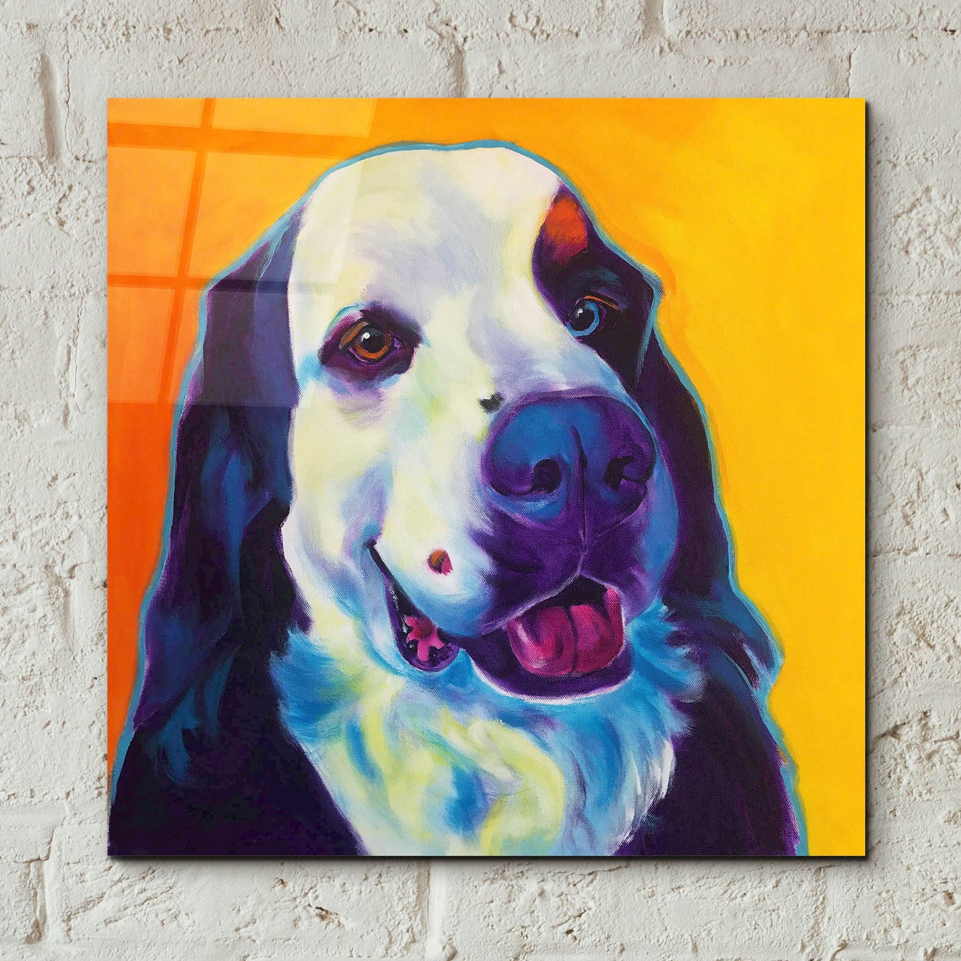 Epic Art 'Bernese Mountain Dog - Zeke 22 by Dawg Painter, Acrylic Glass Wall Art,12x12