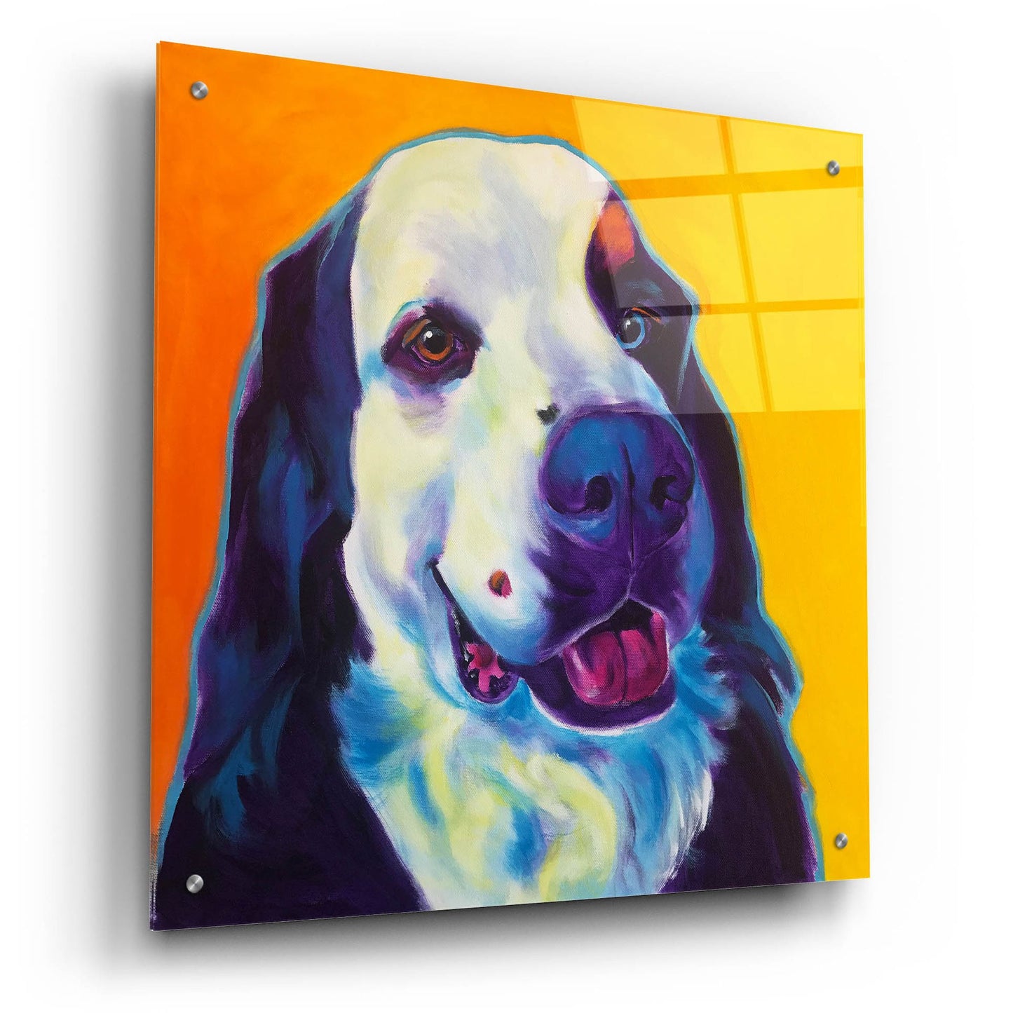 Epic Art 'Bernese Mountain Dog - Zeke 22 by Dawg Painter, Acrylic Glass Wall Art,24x24