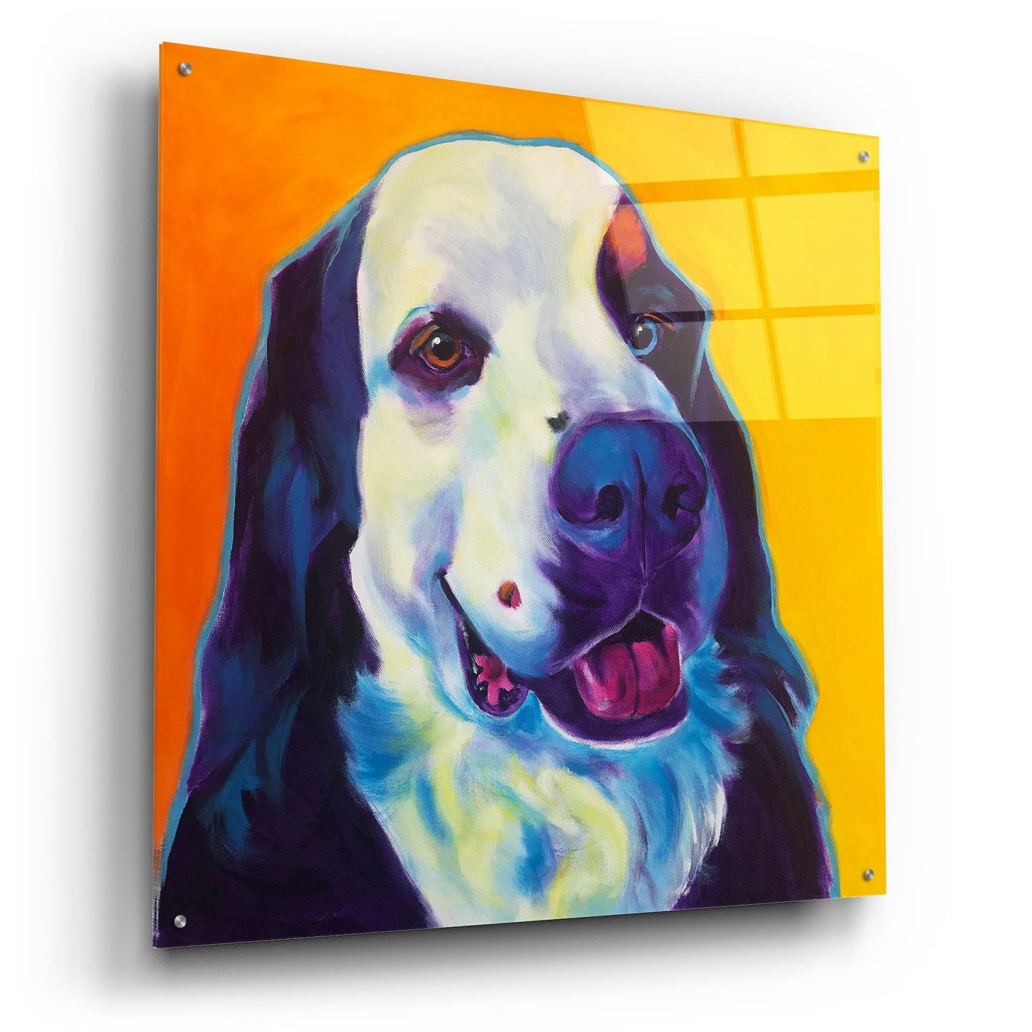 Epic Art 'Bernese Mountain Dog - Zeke 22 by Dawg Painter, Acrylic Glass Wall Art,36x36