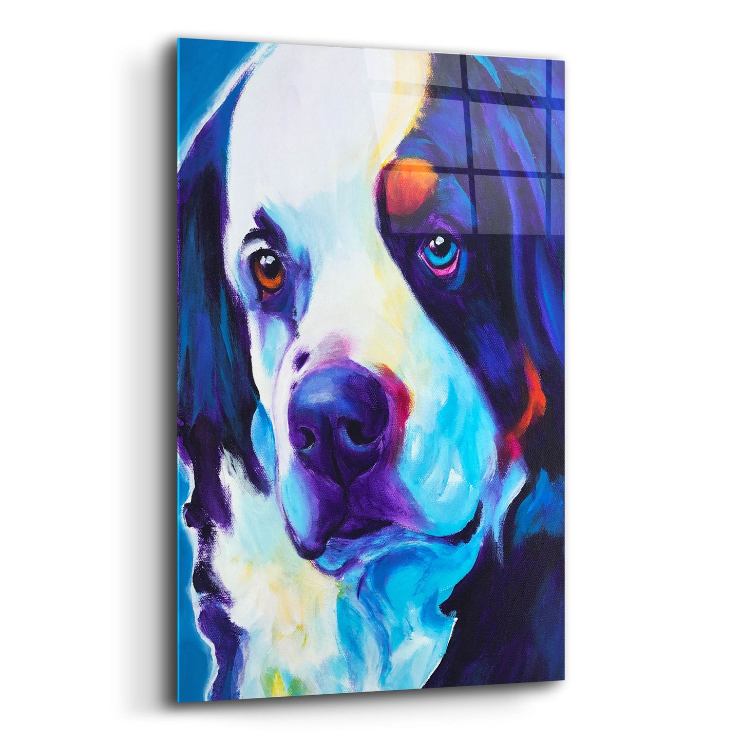 Epic Art 'Bernese Mountain Dog - Zeke2 by Dawg Painter, Acrylic Glass Wall Art,12x16