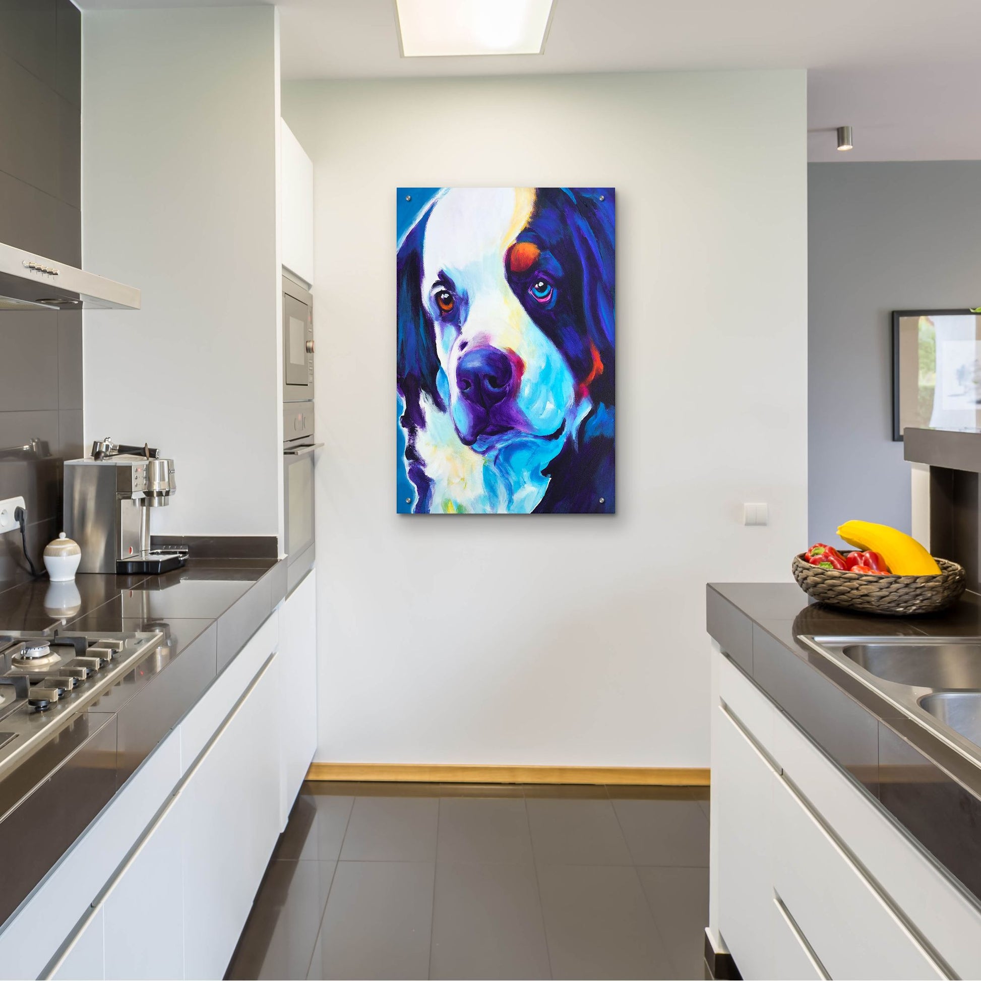 Epic Art 'Bernese Mountain Dog - Zeke2 by Dawg Painter, Acrylic Glass Wall Art,24x36