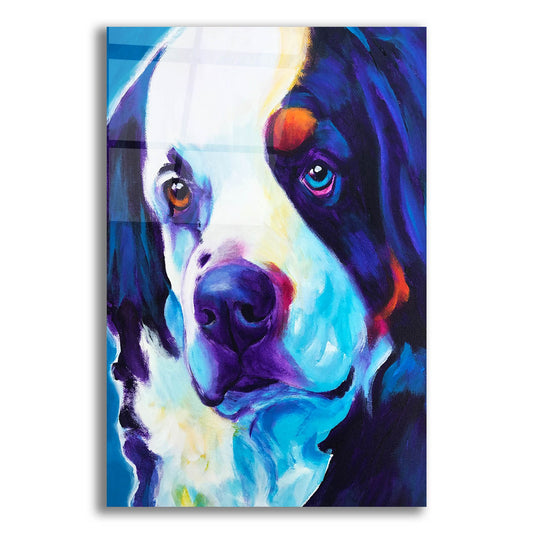 Epic Art 'Bernese Mountain Dog - Zeke2 by Dawg Painter, Acrylic Glass Wall Art