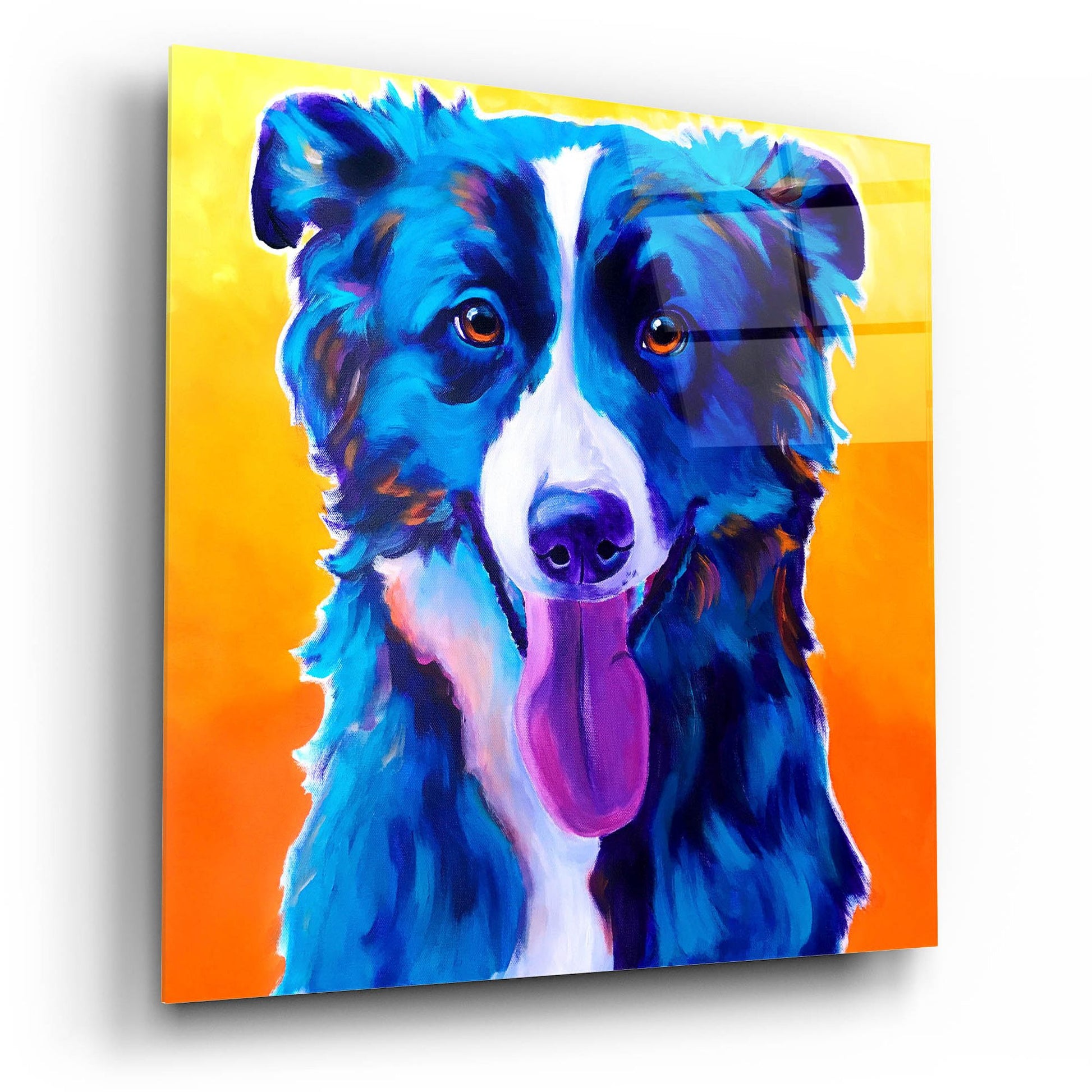 Epic Art 'Border Collie - Jinx2 by Dawg Painter, Acrylic Glass Wall Art,12x12