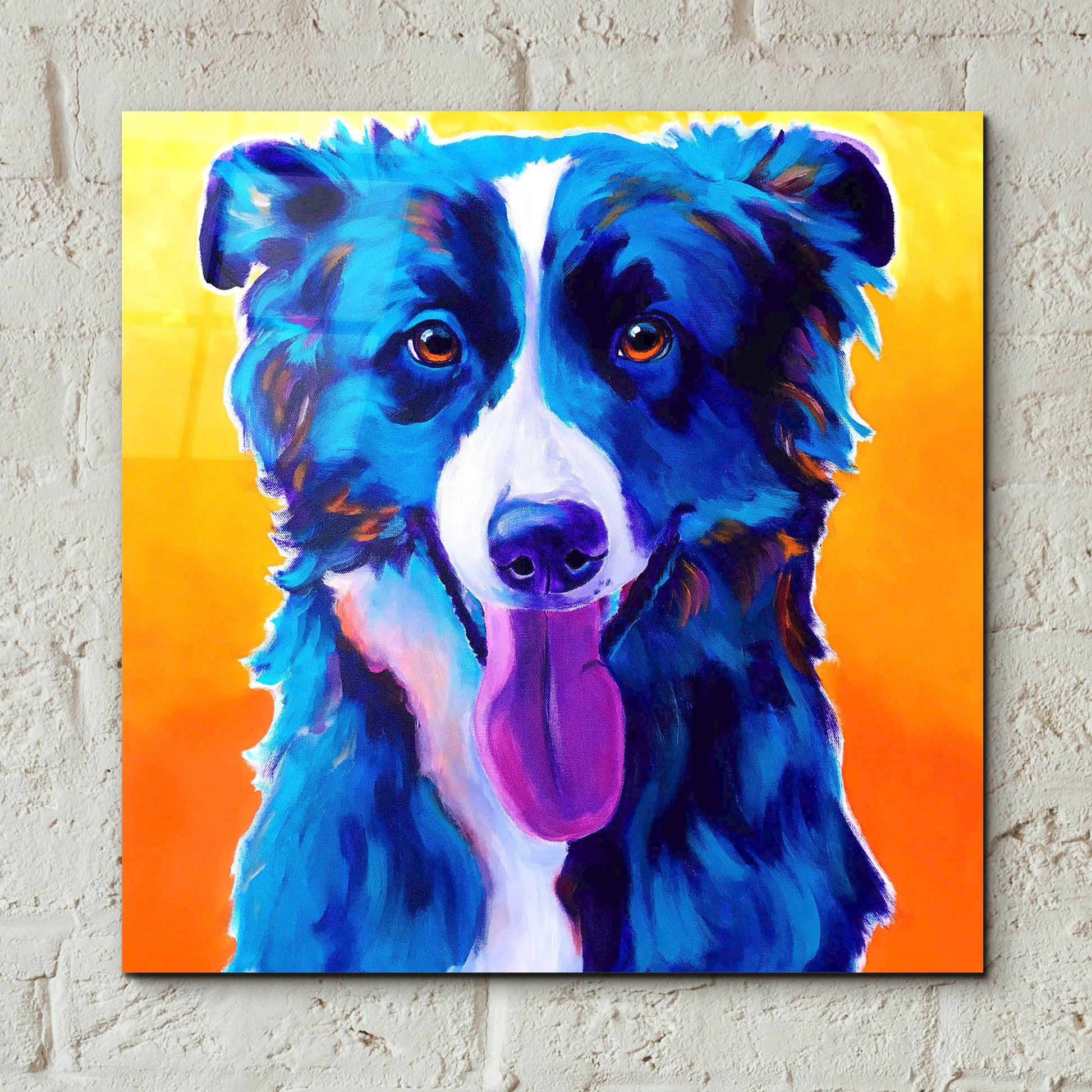 Epic Art 'Border Collie - Jinx2 by Dawg Painter, Acrylic Glass Wall Art,12x12