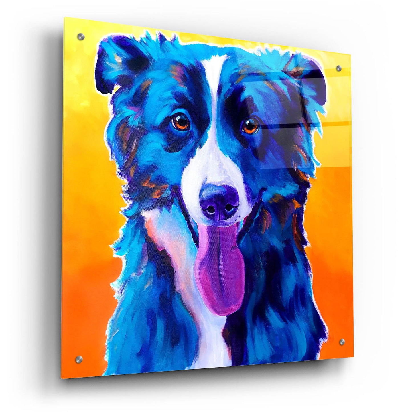 Epic Art 'Border Collie - Jinx2 by Dawg Painter, Acrylic Glass Wall Art,24x24