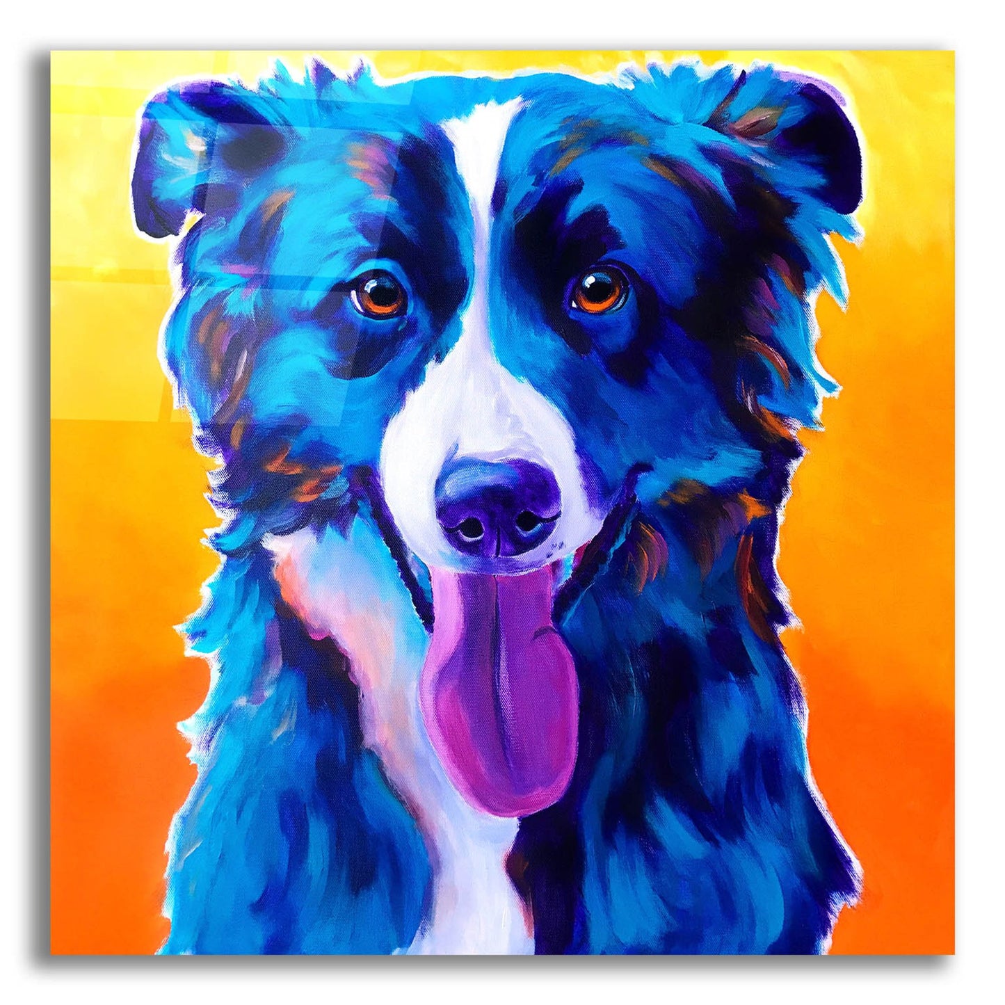 Epic Art 'Border Collie - Jinx2 by Dawg Painter, Acrylic Glass Wall Art