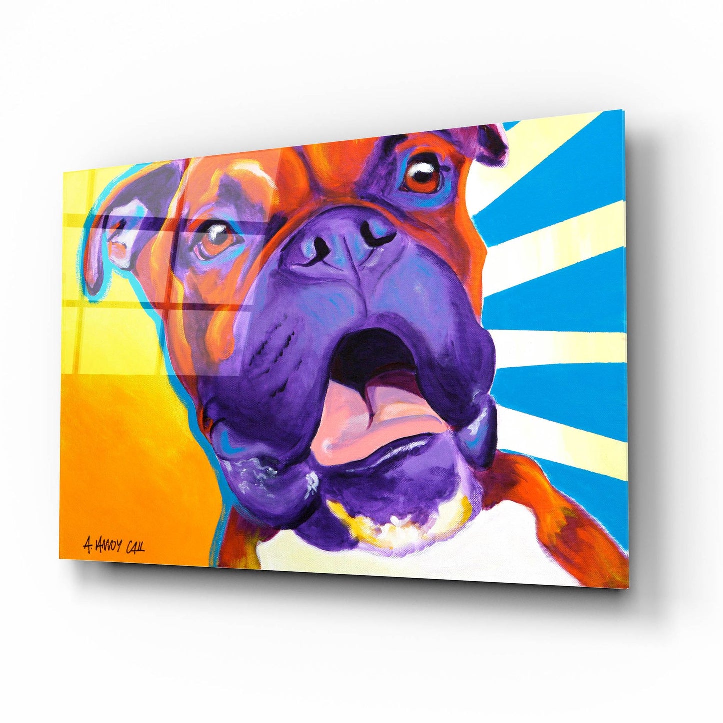 Epic Art 'Boxer - Chance2 by Dawg Painter, Acrylic Glass Wall Art,16x12