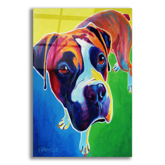 Epic Art 'Boxer - Leo2 by Dawg Painter, Acrylic Glass Wall Art