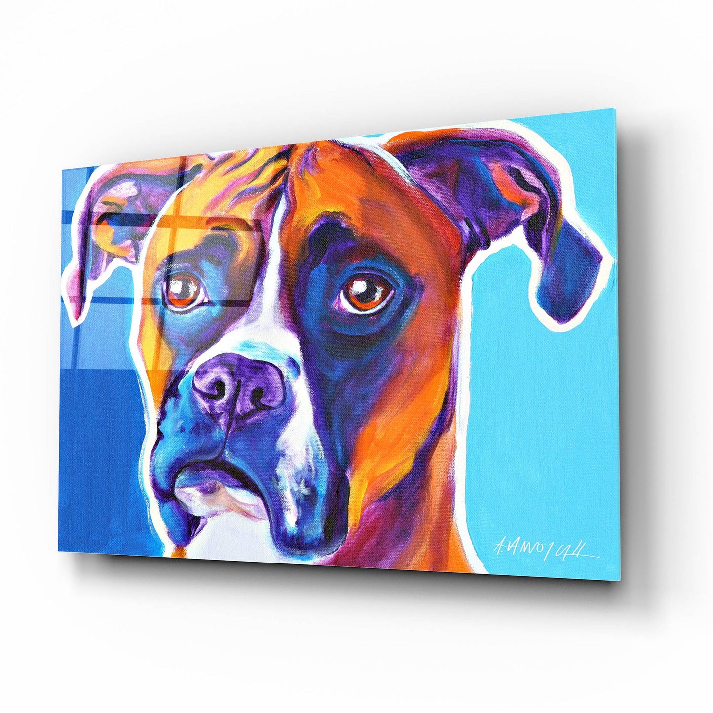 Epic Art 'Boxer - Rex2 by Dawg Painter, Acrylic Glass Wall Art,16x12