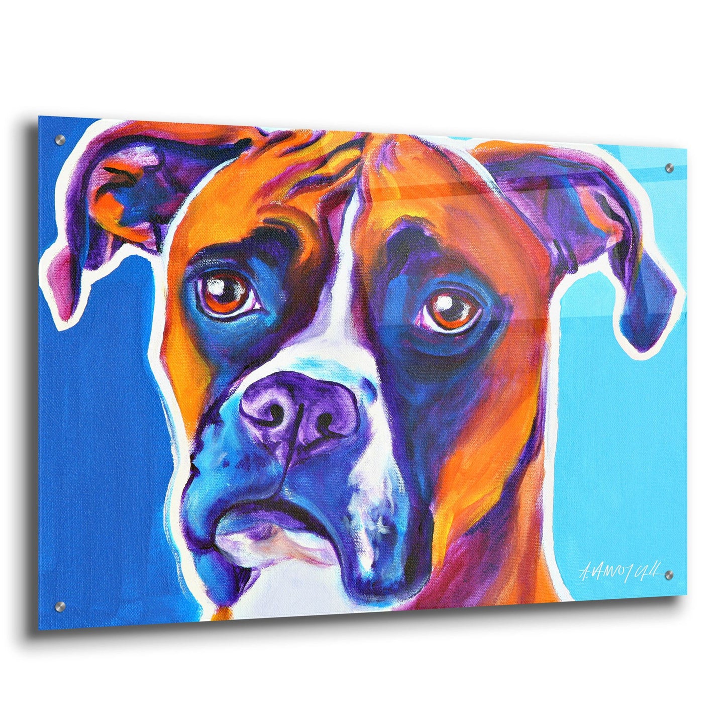 Epic Art 'Boxer - Rex2 by Dawg Painter, Acrylic Glass Wall Art,36x24