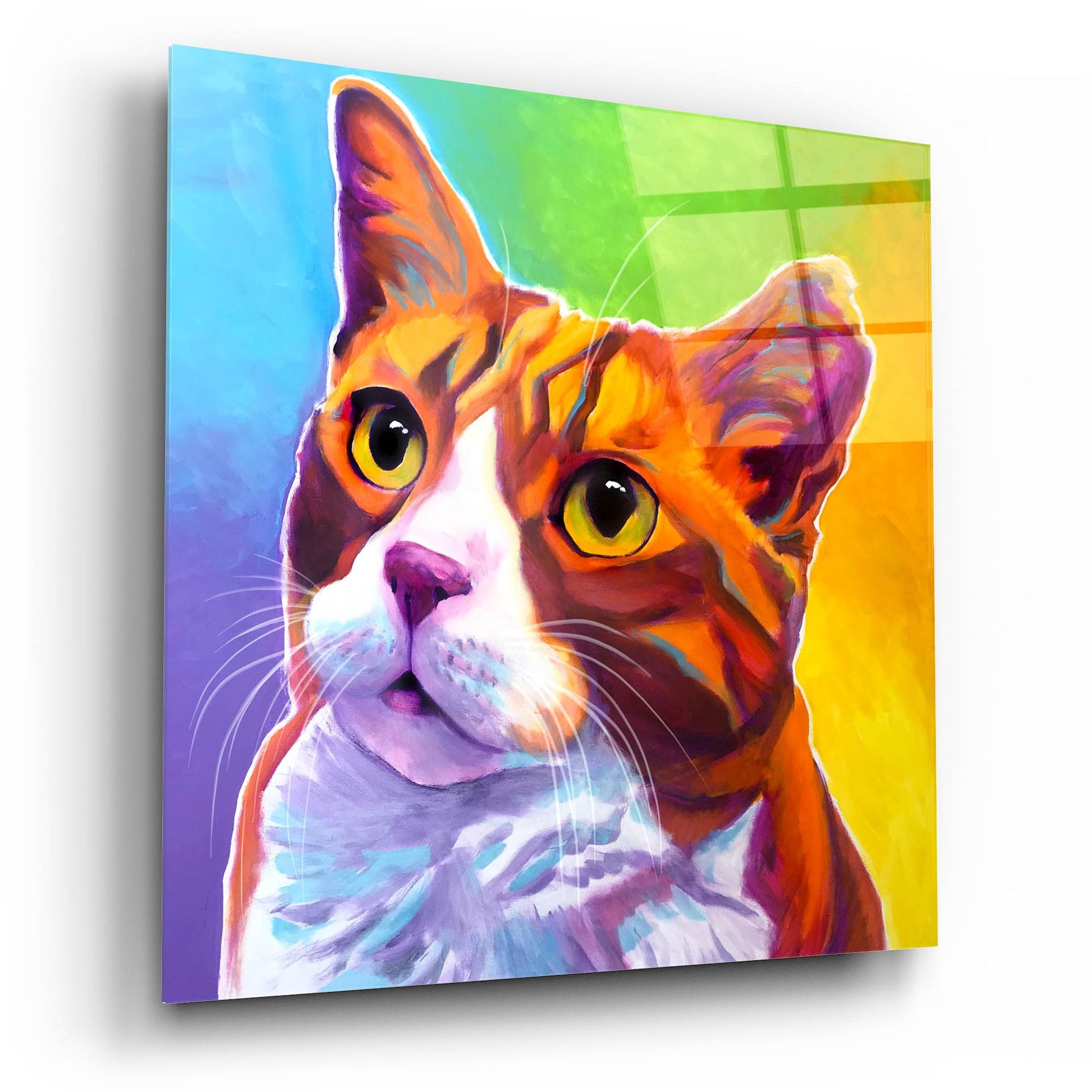 Epic Art 'Cat - Ernie2 by Dawg Painter, Acrylic Glass Wall Art,12x12