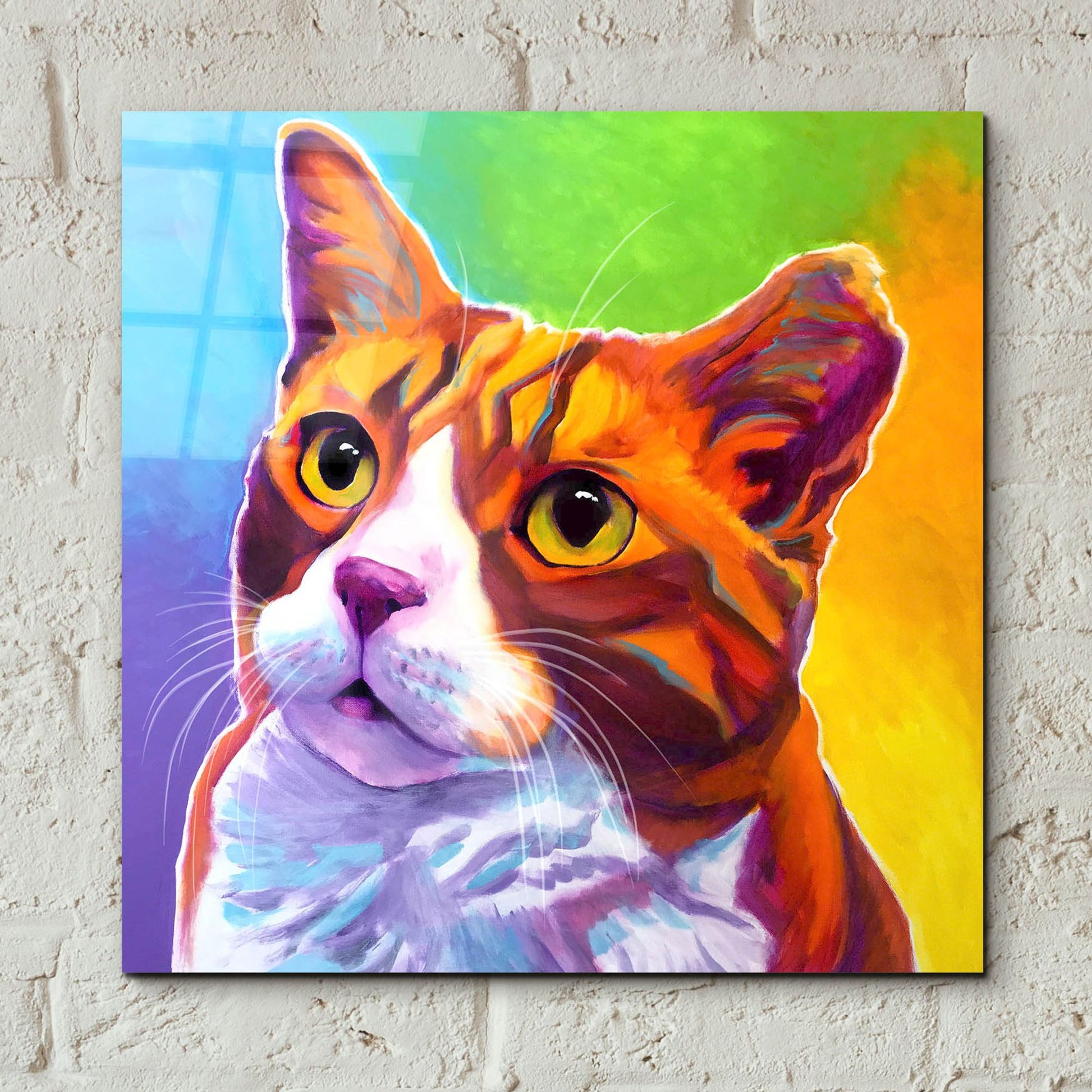 Epic Art 'Cat - Ernie2 by Dawg Painter, Acrylic Glass Wall Art,12x12