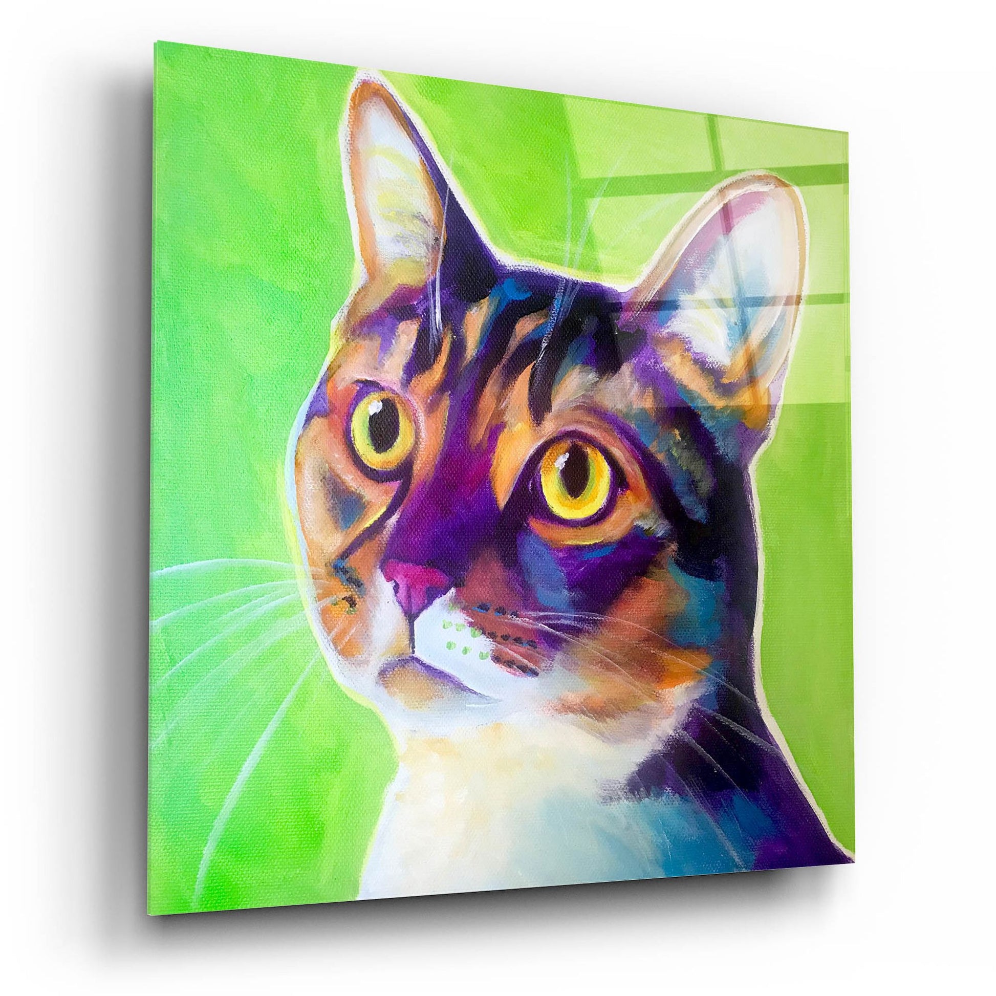 Epic Art 'Cat - Ripley2 by Dawg Painter, Acrylic Glass Wall Art,12x12