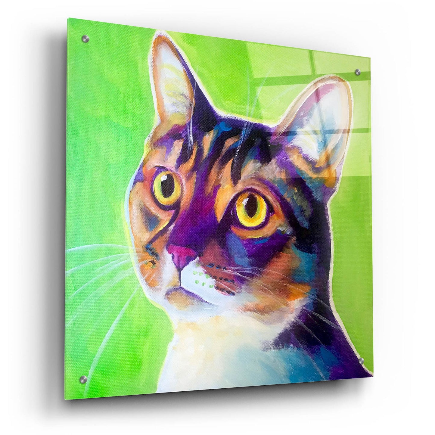 Epic Art 'Cat - Ripley2 by Dawg Painter, Acrylic Glass Wall Art,24x24