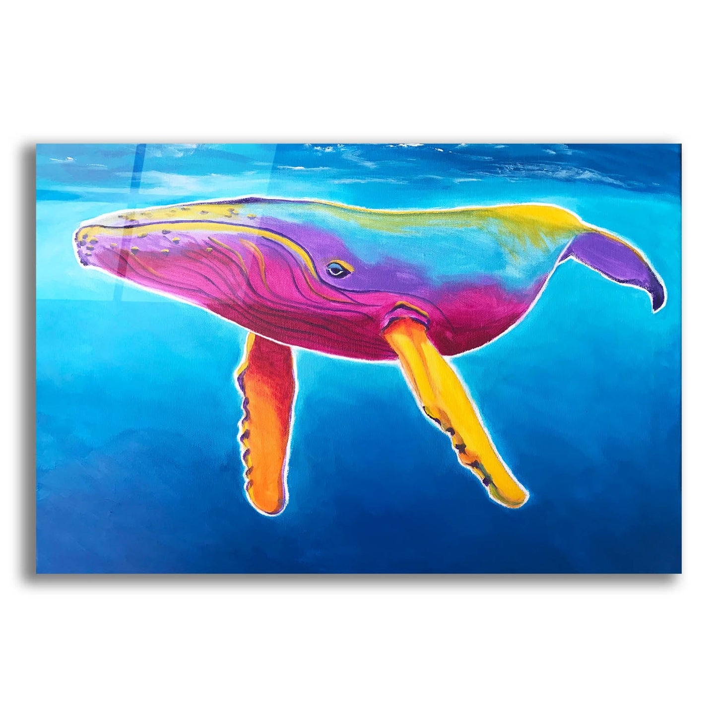 Epic Art 'Humpback Whale - Rainbow2 by Dawg Painter, Acrylic Glass Wall Art,24x16