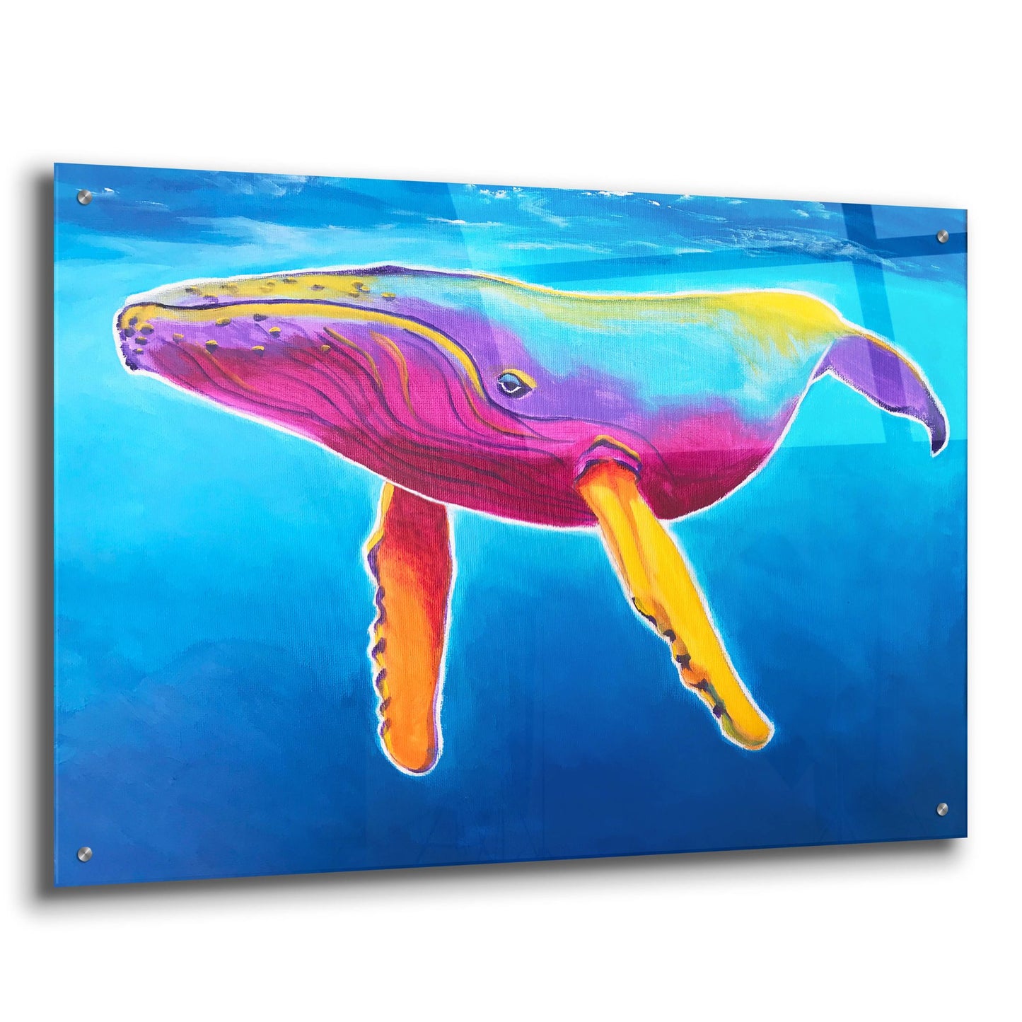 Epic Art 'Humpback Whale - Rainbow2 by Dawg Painter, Acrylic Glass Wall Art,36x24