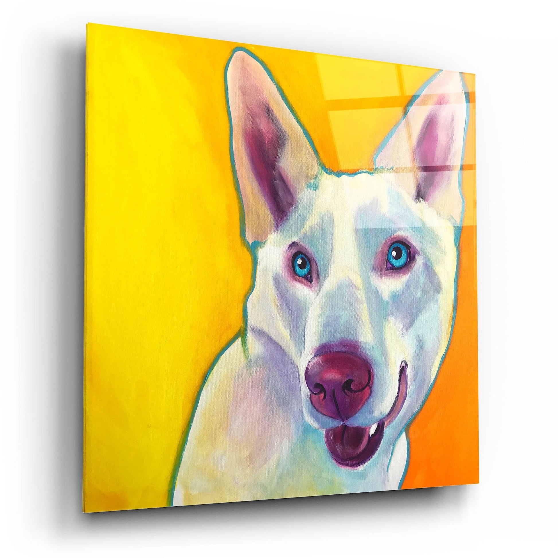 Epic Art 'Husky - Charlie2 by Dawg Painter, Acrylic Glass Wall Art,12x12