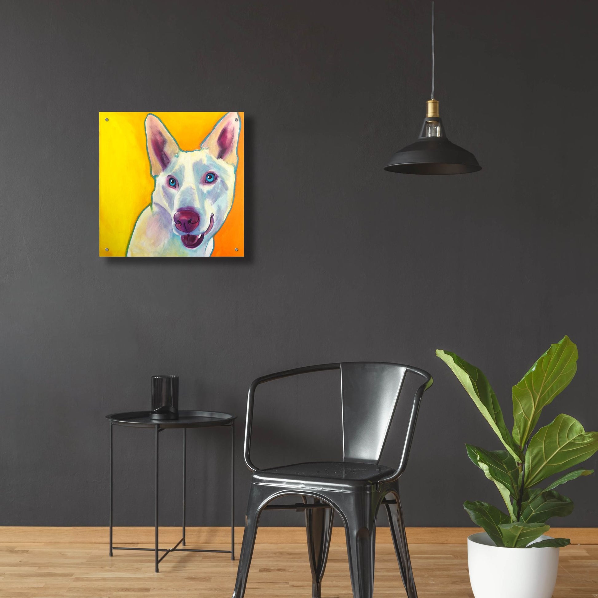 Epic Art 'Husky - Charlie2 by Dawg Painter, Acrylic Glass Wall Art,24x24
