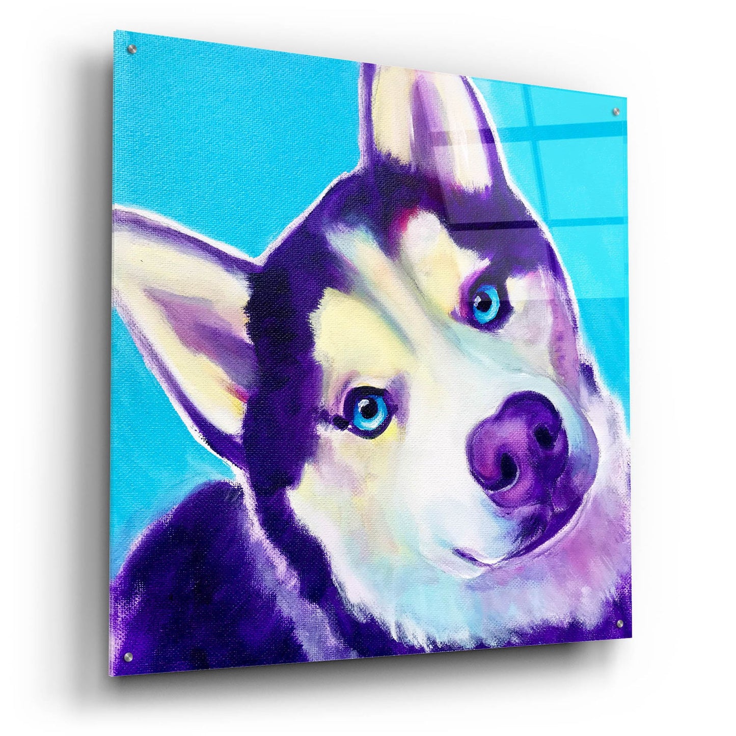 Epic Art 'Husky - Dico2 by Dawg Painter, Acrylic Glass Wall Art,36x36