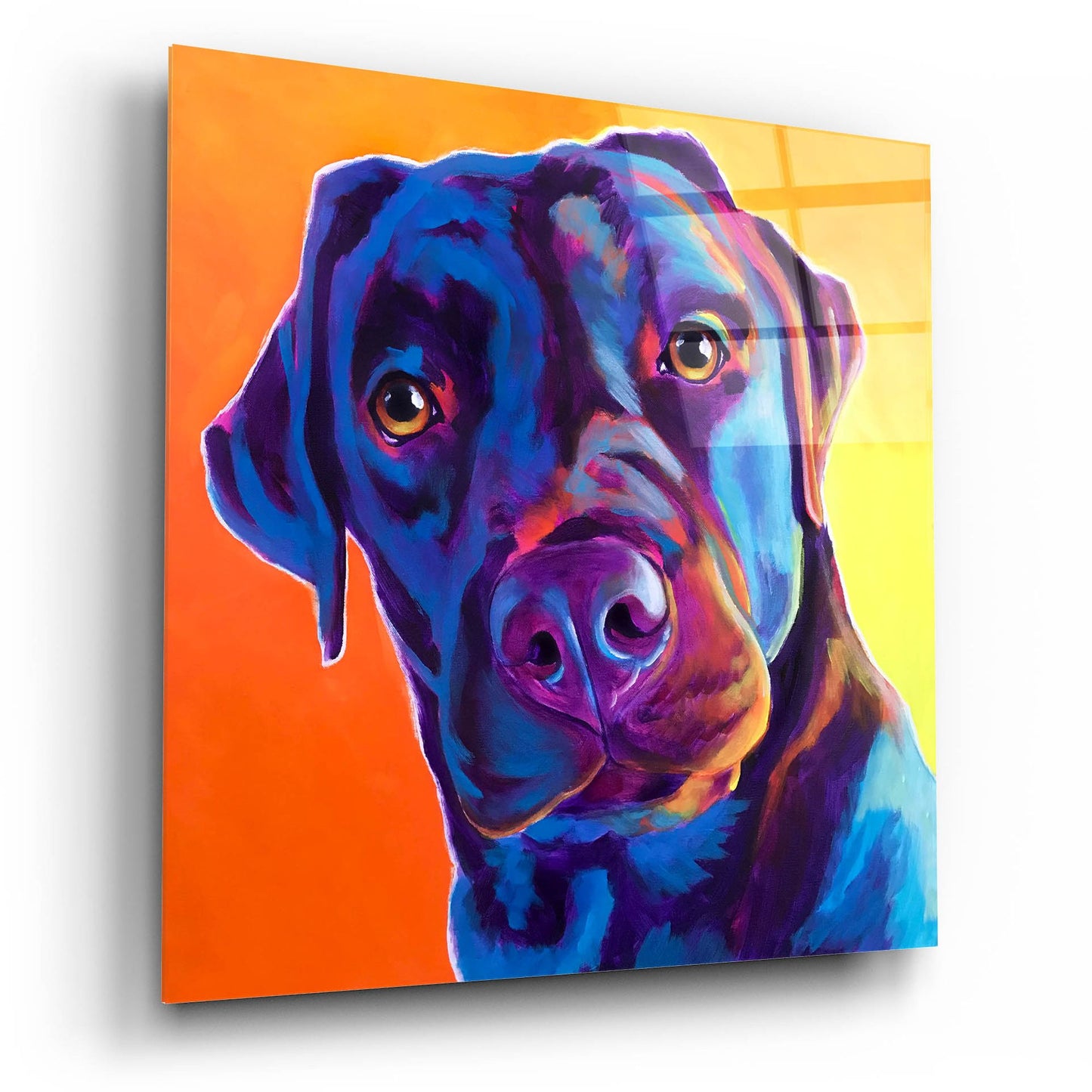 Epic Art 'Lab - Kona2 by Dawg Painter, Acrylic Glass Wall Art,12x12