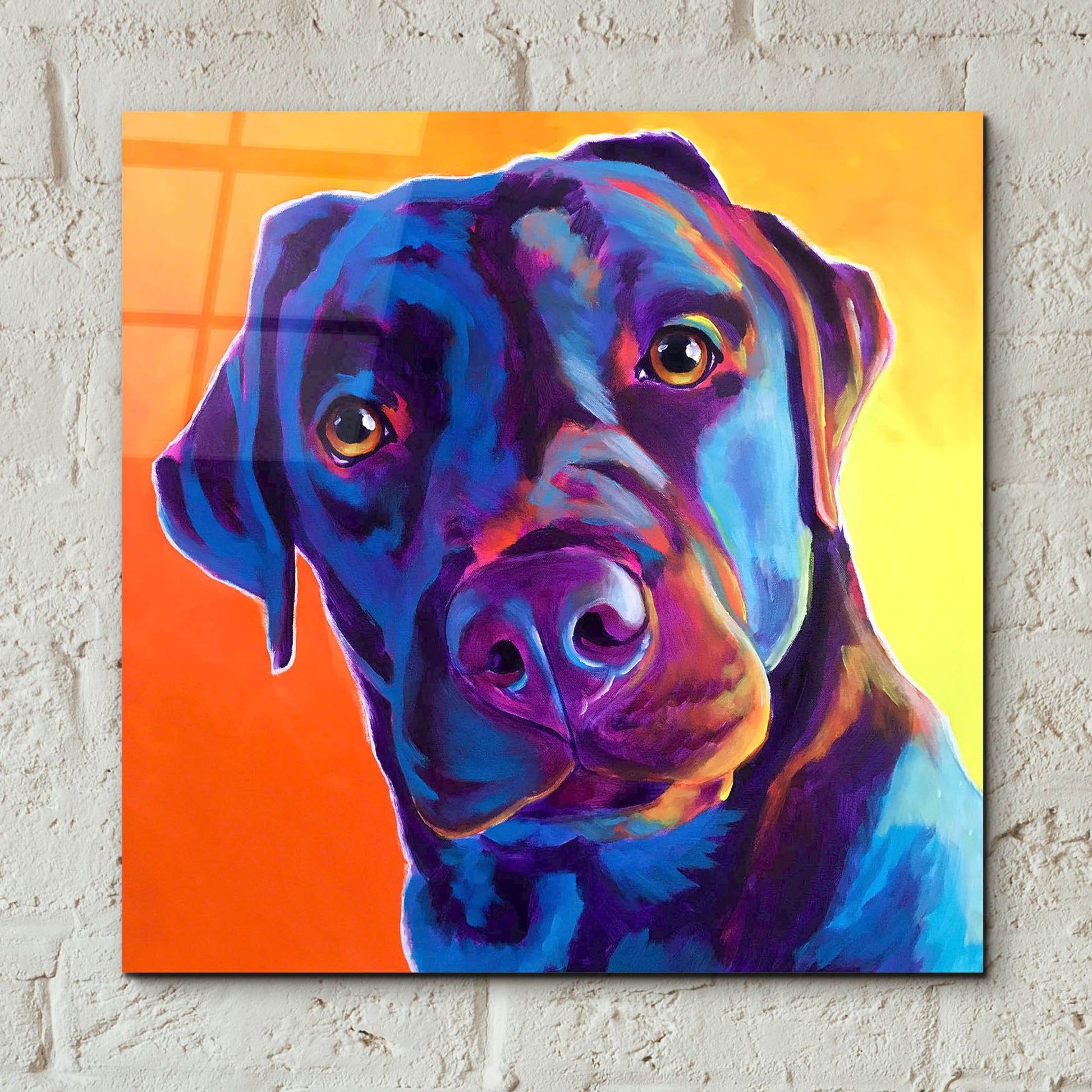 Epic Art 'Lab - Kona2 by Dawg Painter, Acrylic Glass Wall Art,12x12