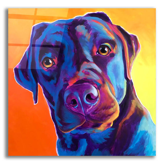 Epic Art 'Lab - Kona2 by Dawg Painter, Acrylic Glass Wall Art