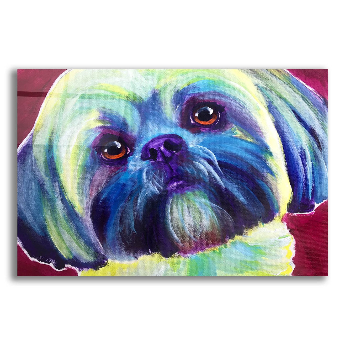 Epic Art 'Lhasa Apso - Sadie2 by Dawg Painter, Acrylic Glass Wall Art,24x16